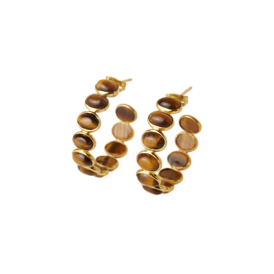 Tiger Eye Earrings